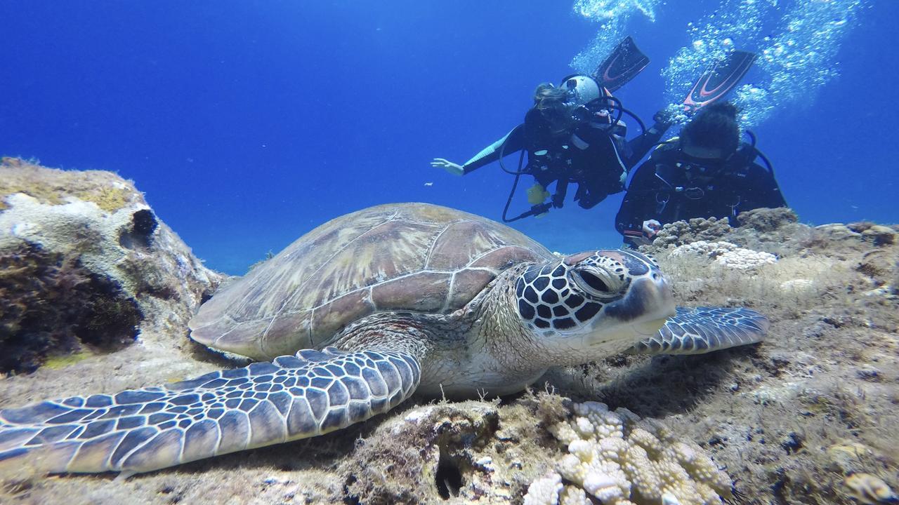 Stay Liuqiu Diving Hostel Xiao Liuqiu Zewnętrze zdjęcie